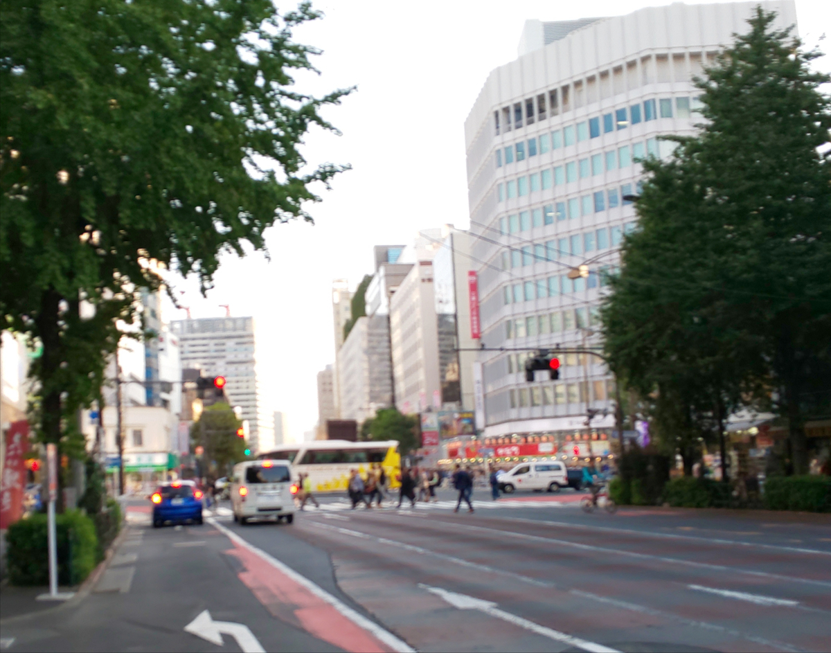 f:id:gullmarin:20191106011819j:plain