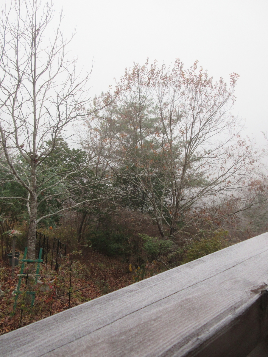 鳥日和～♪ - 小さなお山の先っちょで