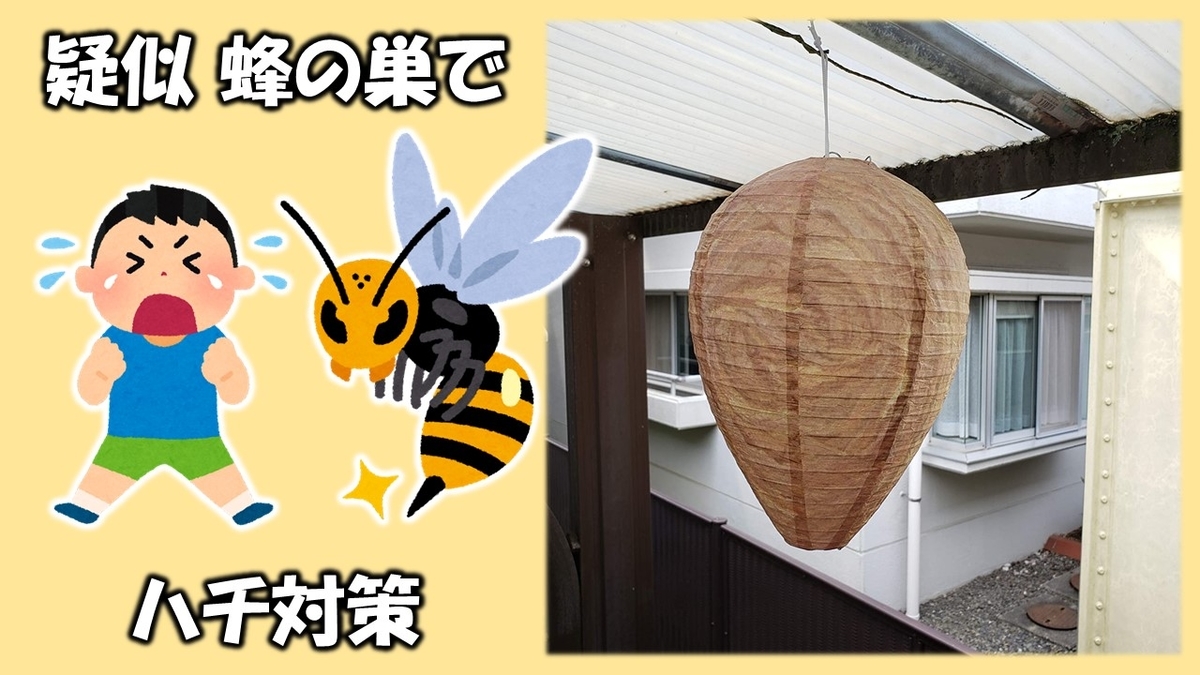 疑似 蜂の巣 ぐみおブログ