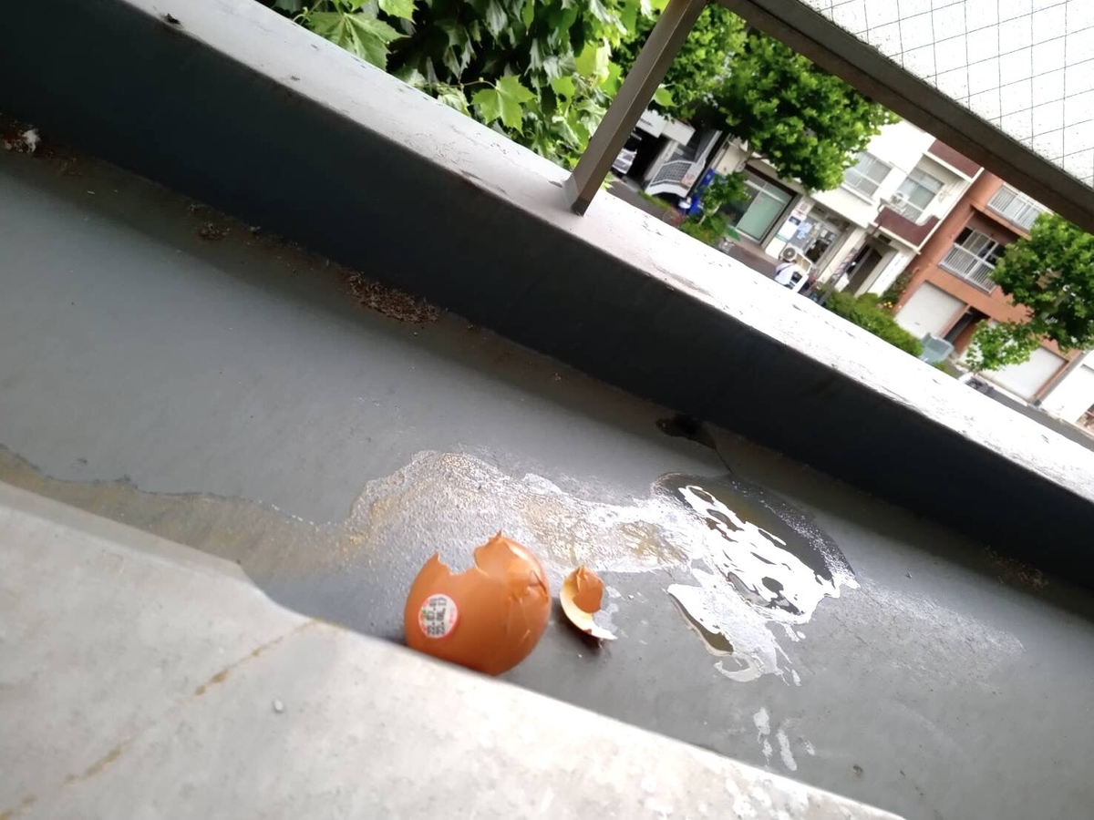 Twitter 辻元清美 事務所に生卵を投げ付けられる 自作自演じゃね が話題に みなさんの反応 G Animation Twitter 辻元清美 事務所に生卵を投げ付けられる 自作自演じゃね が話題に みなさんの反応 G Animation