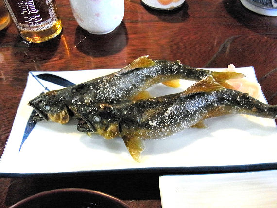 イメージ 3