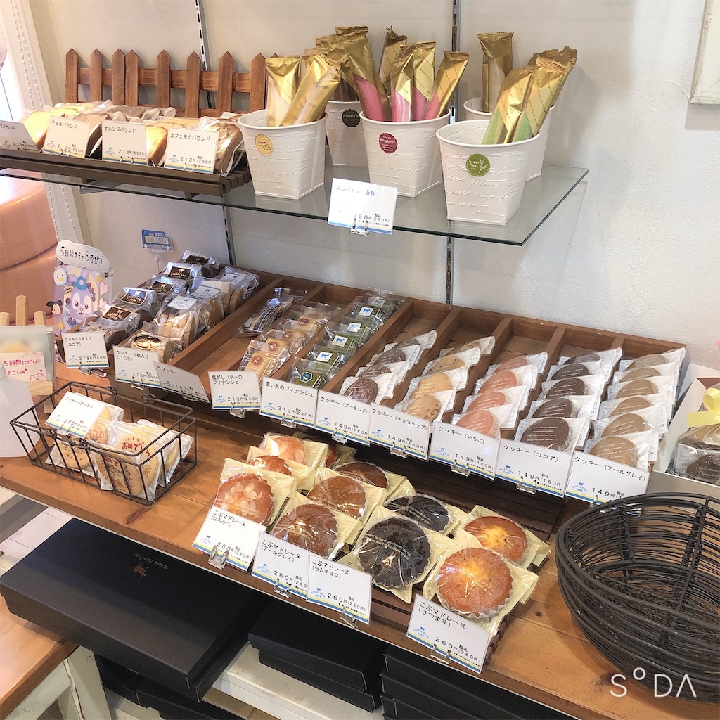 群馬で美味しいチーズケーキならここ チーズケーキファーム 高崎 貝沢町 ぐんぐるブログ