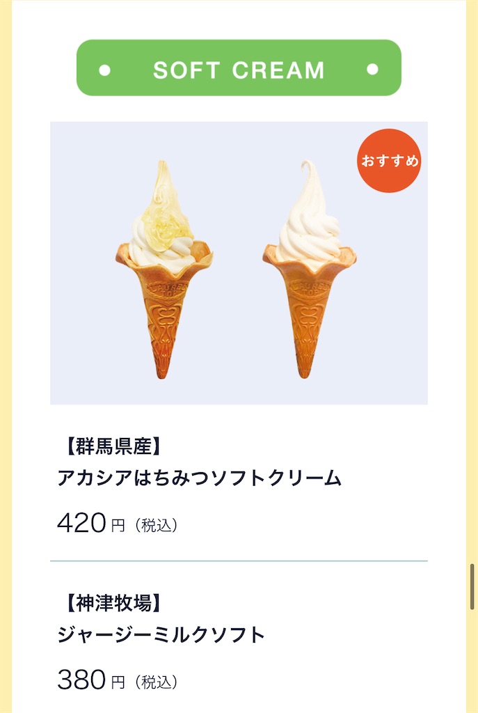 f:id:gumma_umaimono:20210315212735j:image