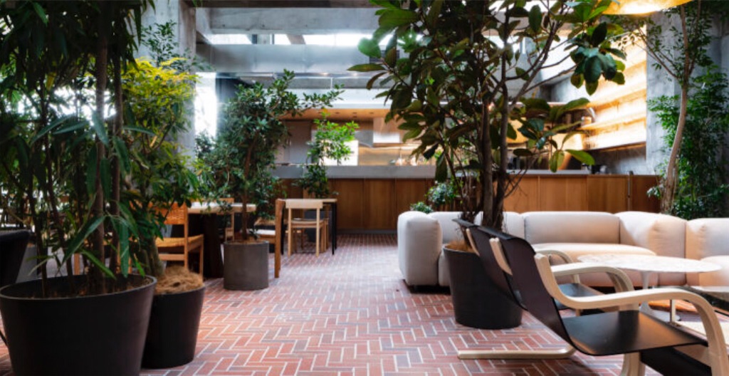 f:id:gumma_umaimono:20210624081210j:image