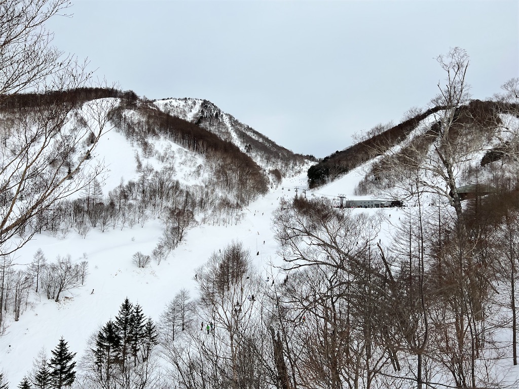 f:id:gumma_umaimono:20220220191901j:image