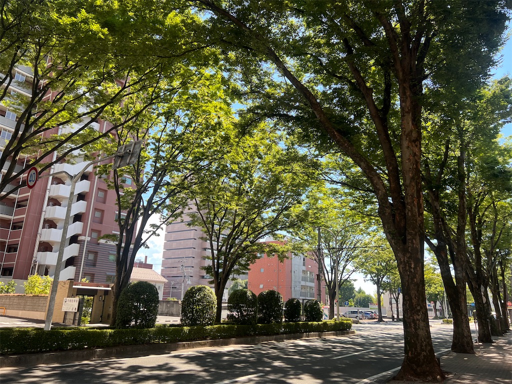 f:id:gumma_umaimono:20220731155918j:image