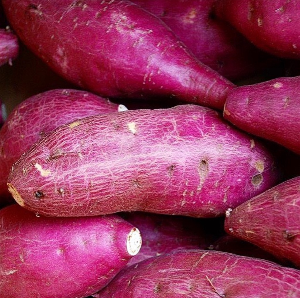 f:id:gumma_umaimono:20221002133628j:image