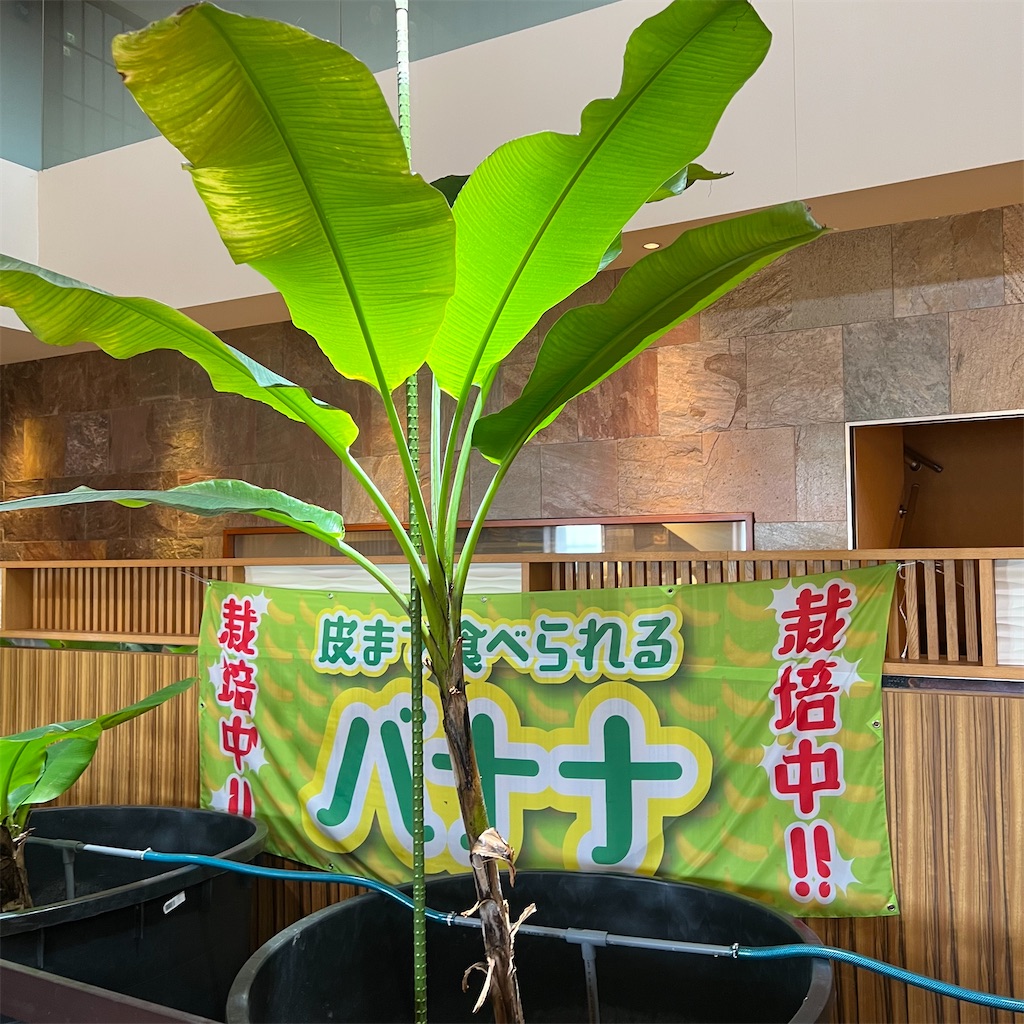 f:id:gumma_umaimono:20221009114914j:image f:id:gumma_umaimono:20221009114914j:image