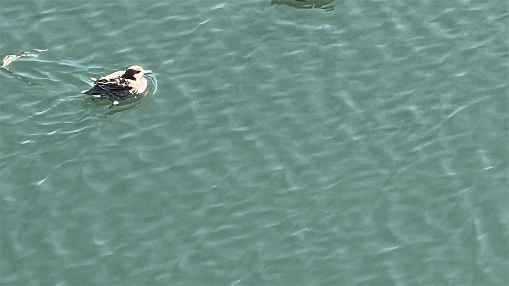 f:id:gumma_umaimono:20221213070809j:image