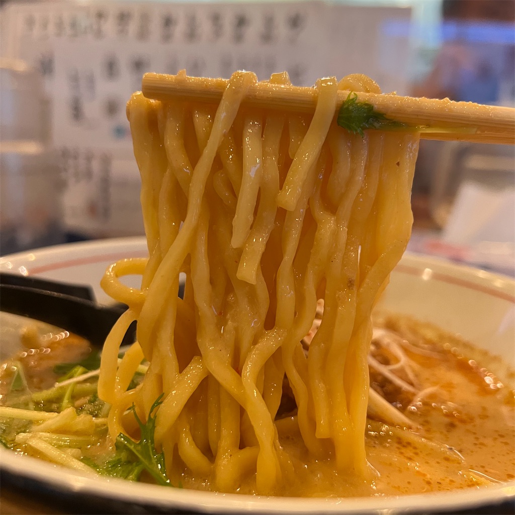 f:id:gumma_umaimono:20230614215817j:image