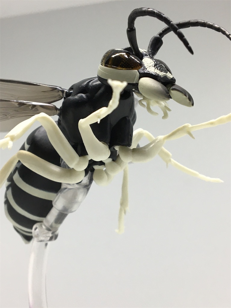 動物の惑星 レア スズメバチ 動物の惑星 スズメバチ レア