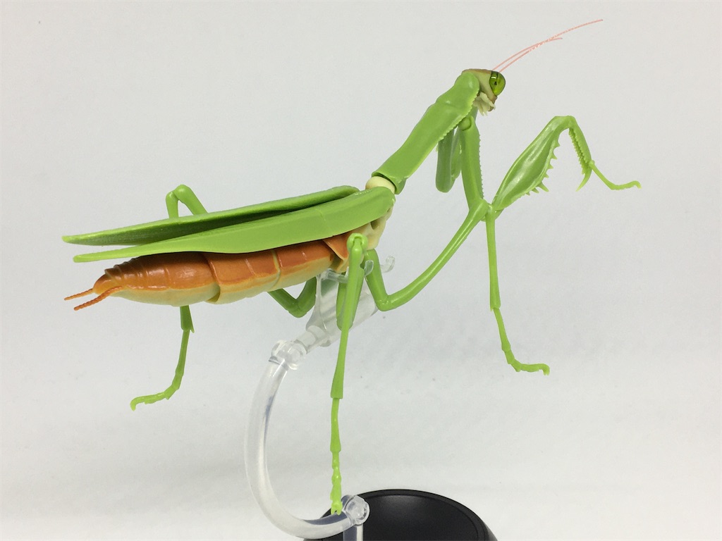 年冬 21年春 発売ガチャ レビュー お宝フィギュアハンターブログ 年冬 21年春 発売ガチャ レビュー お宝フィギュアハンターブログ