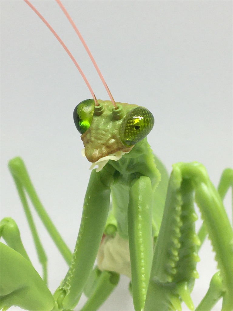 高価値セリー かまきり 全5種セット レア含むコンプセット バンダイ ガシャポン Shipsctc Org