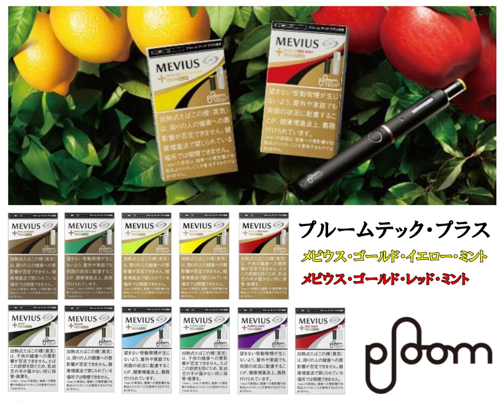 f:id:gundamoon:20200501032208j:plain f:id:gundamoon:20200501032208j:plain