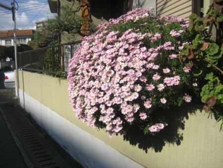 f:id:gungle:20100331140103j:image