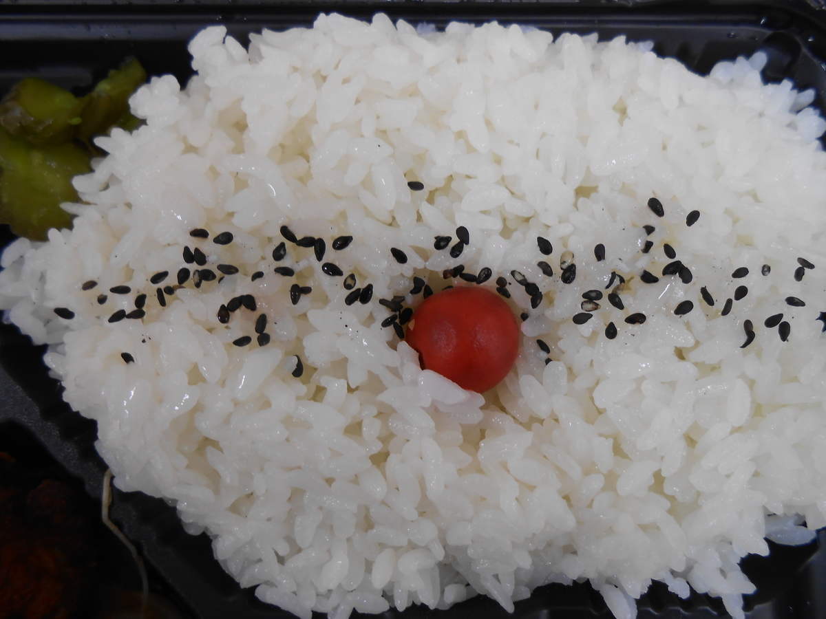 唐揚げ弁当 ズンバーグ セカンド ごはん