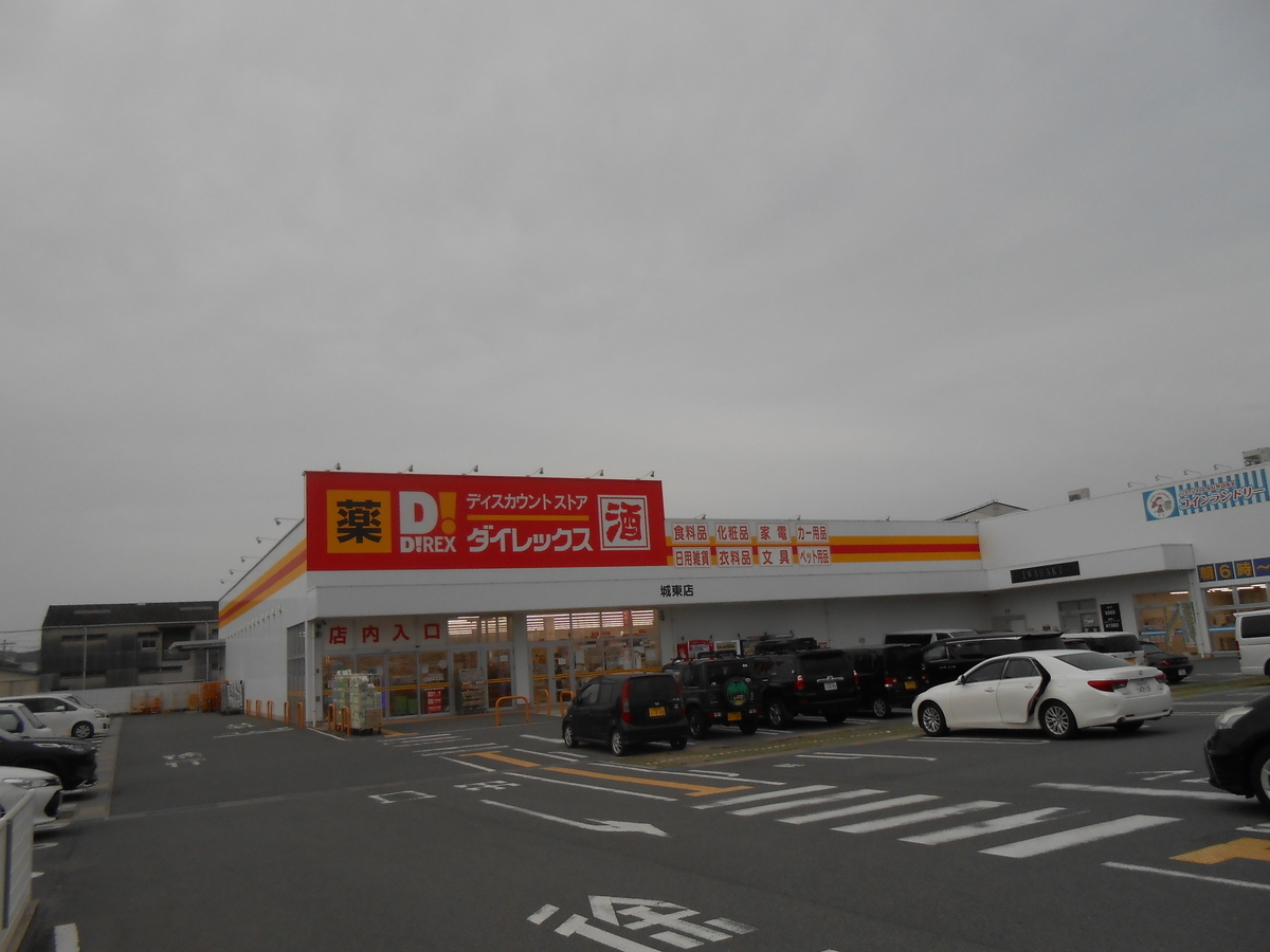 ダイレックス 城東店