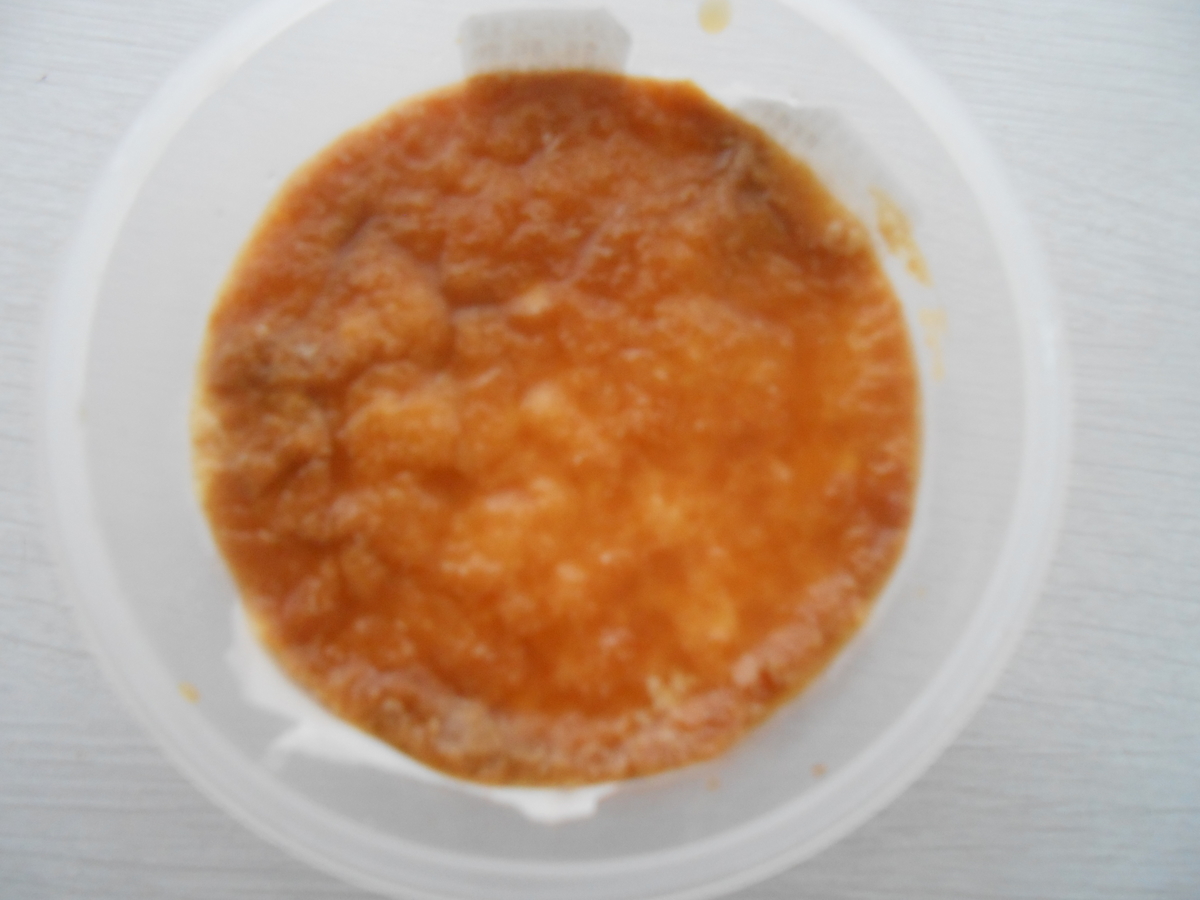 オハヨー乳業 新鮮卵のこんがり焼プリン 開封後