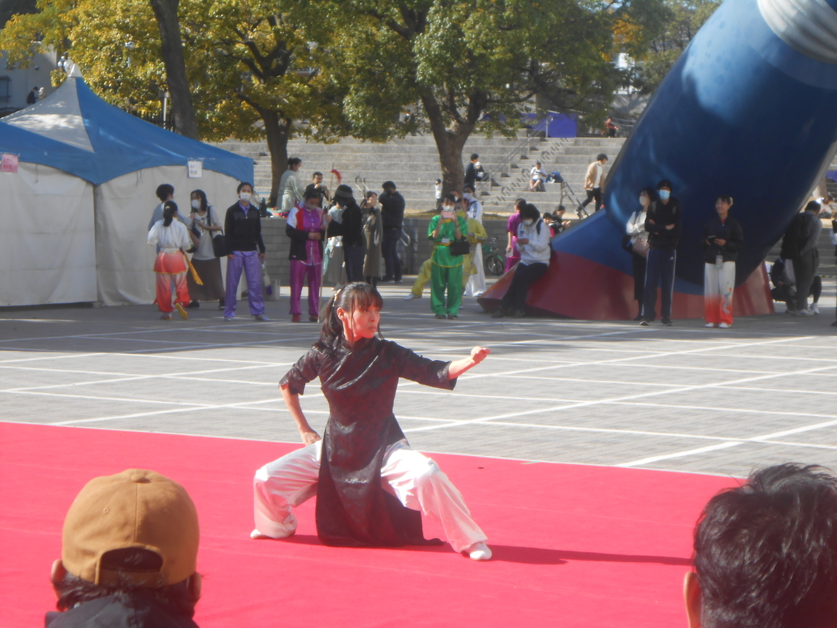 中国武術演武6