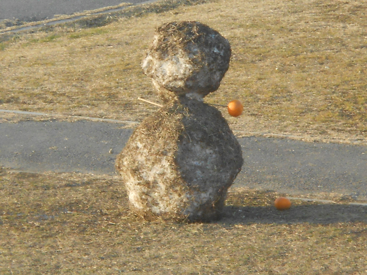 河川敷に雪だるま3