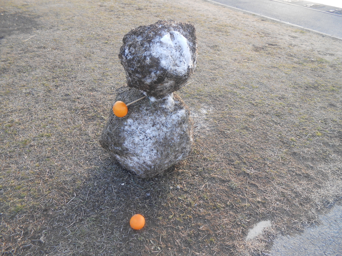 河川敷に雪だるま5