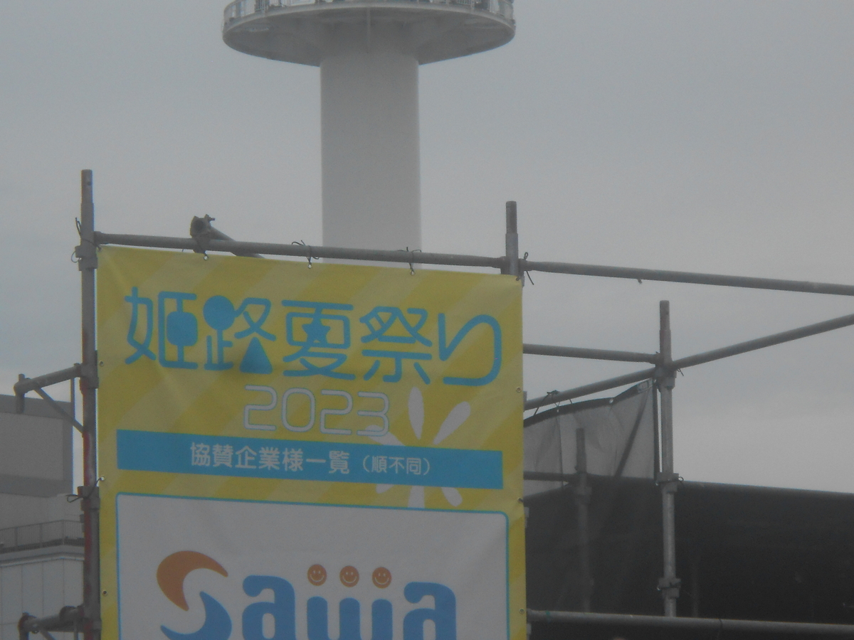 姫路夏祭り2023