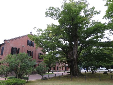 f:id:gungunmeteo:20150820165657j:image