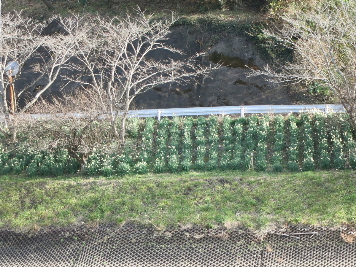 f:id:gunjima-taii:20201225151928j:plain