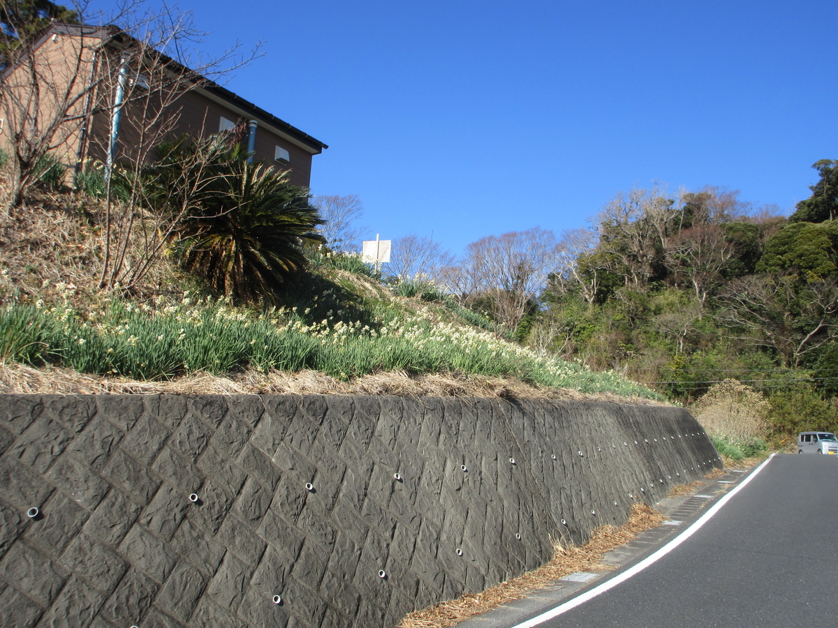 f:id:gunjima-taii:20220102164023j:plain