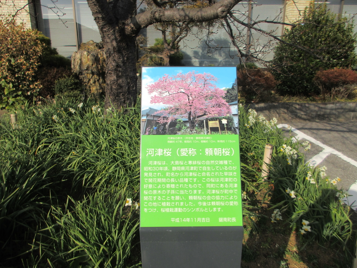 f:id:gunjima-taii:20220131153746j:plain