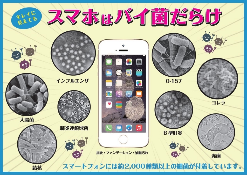 スマホは台所のスポンジと同じバイ菌だらけ。でも心配無用。 - ノー 