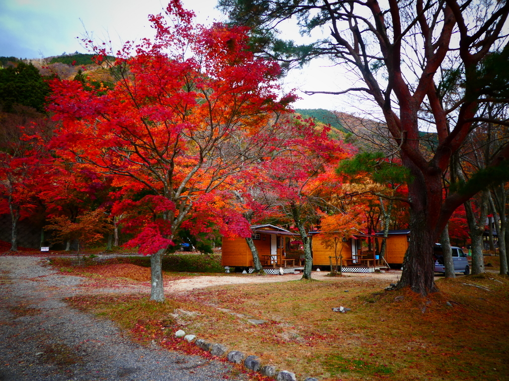 f:id:gunslinger-taka:20181130110227j:plain f:id:gunslinger-taka:20181130110227j:plain