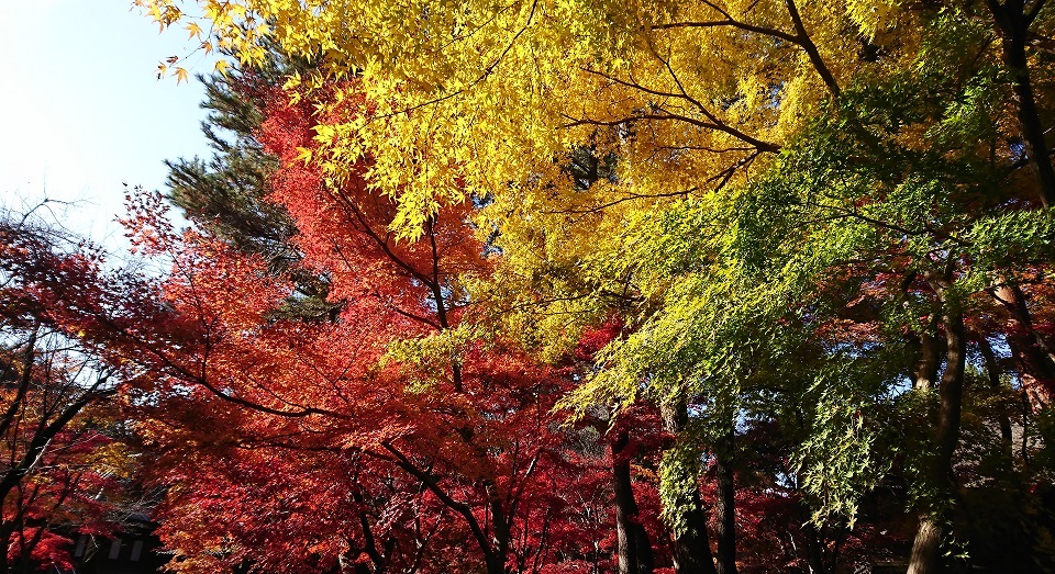 f:id:gunsou_911:20181201122012j:plain f:id:gunsou_911:20181201122012j:plain