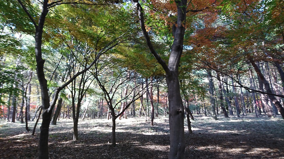 f:id:gunsou_911:20181201125200j:plain f:id:gunsou_911:20181201125200j:plain