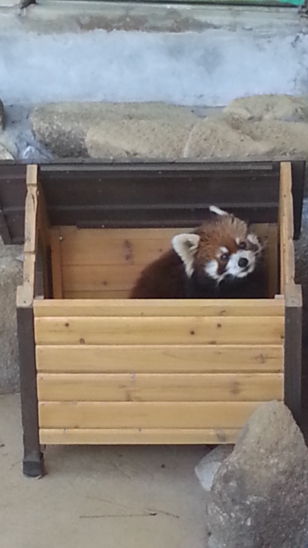 f:id:guppi524:20131130130208j:image:h450