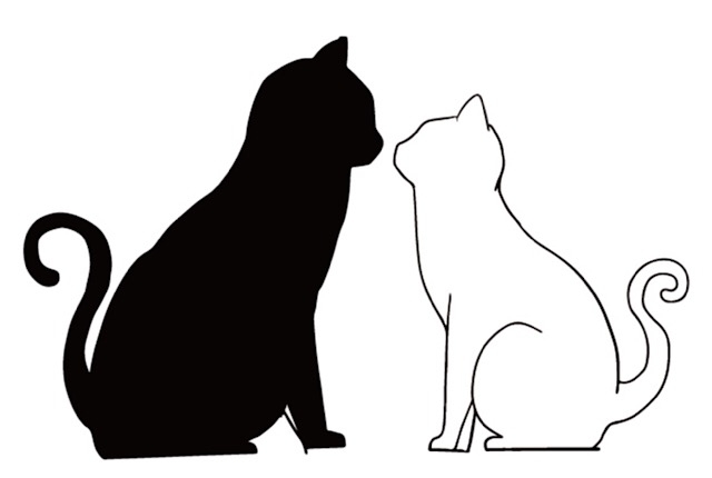 f:id:guppytan:20190512215954j:plain f:id:guppytan:20190512215954j:plain