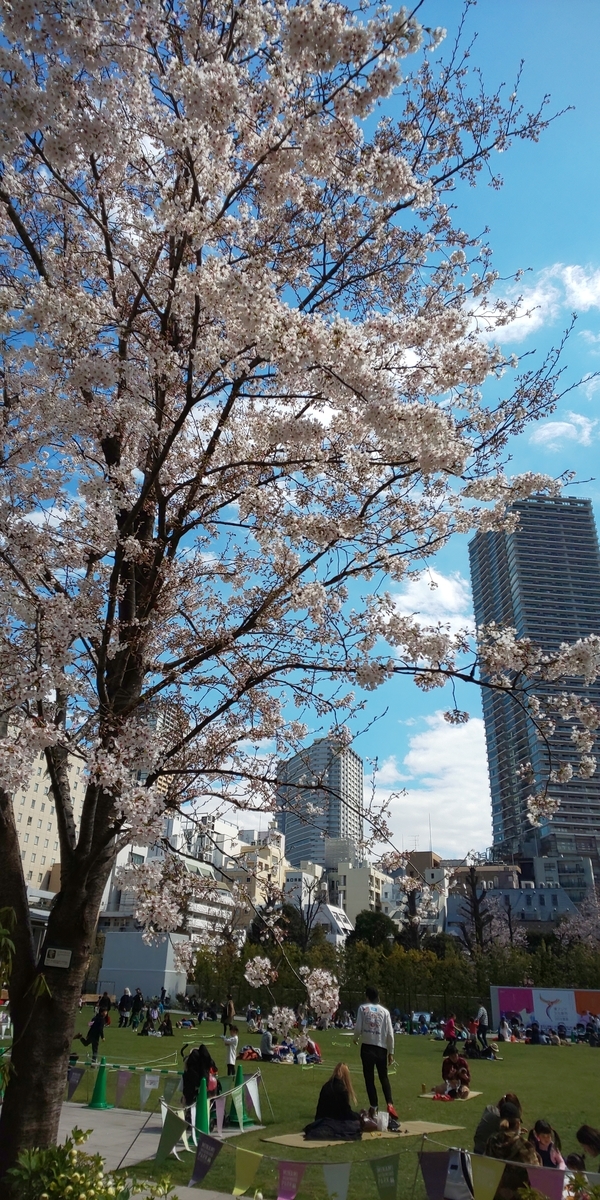 f:id:guremanaore:20190409231406j:plain