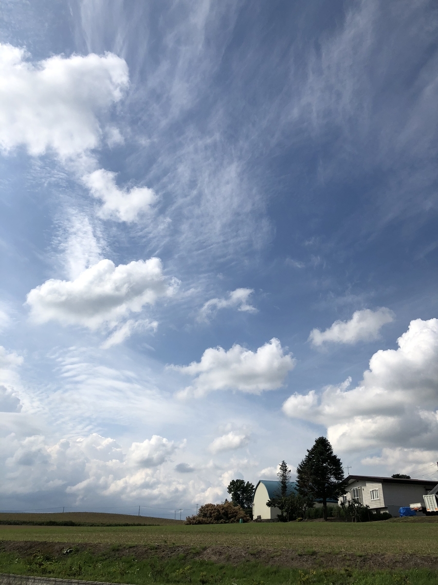 f:id:guri73:20191017213521j:plain f:id:guri73:20191017213521j:plain