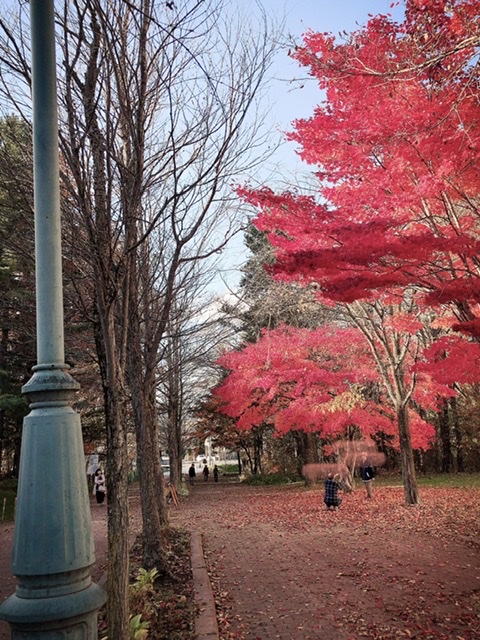 f:id:guri73:20191027184854j:plain f:id:guri73:20191027184854j:plain