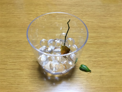f:id:gurigreen:20200430143138j:plain f:id:gurigreen:20200430143138j:plain