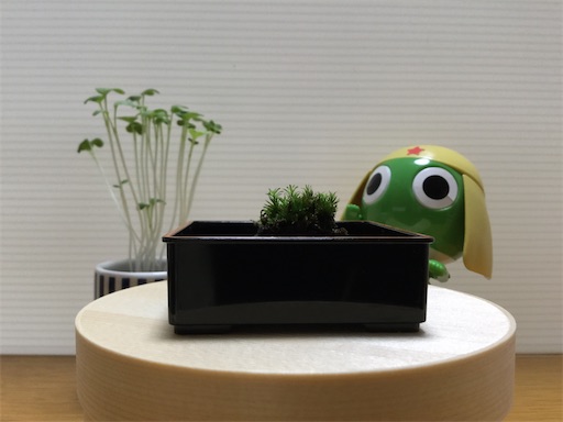 f:id:gurigreen:20200623152018j:plain f:id:gurigreen:20200623152018j:plain