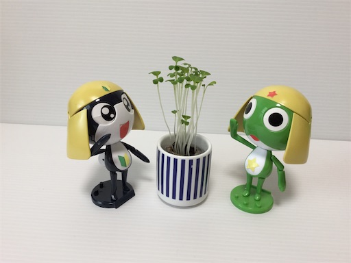 f:id:gurigreen:20200623152055j:plain f:id:gurigreen:20200623152055j:plain