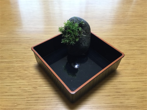 f:id:gurigreen:20210104231909j:plain