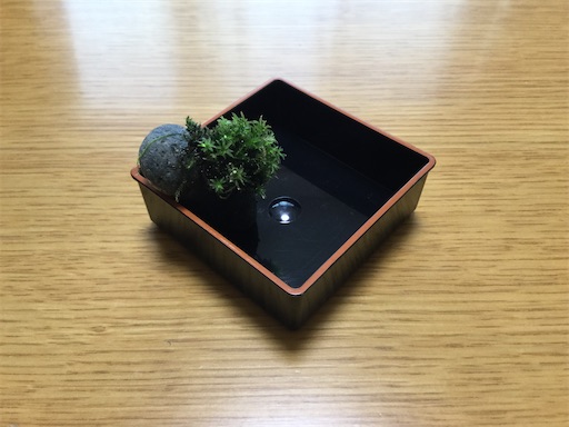 f:id:gurigreen:20210104231916j:plain