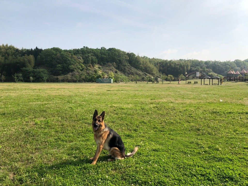 f:id:guriguri:20180423082136j:plain f:id:guriguri:20180423082136j:plain
