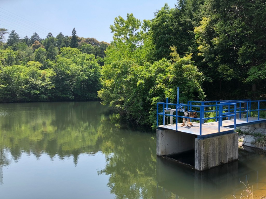 f:id:guriguri:20180429130429j:plain f:id:guriguri:20180429130429j:plain