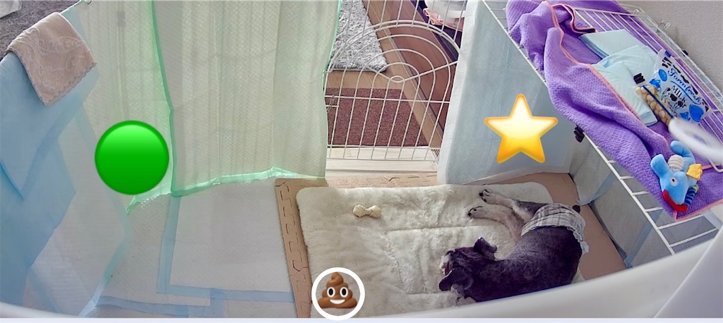 f:id:gurinbo:20251204131129j:image f:id:gurinbo:20251204131129j:image