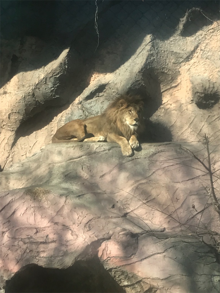 東山動植物園はコスパ最強のデートスポットだと思うんだ 今日は何して遊ぶ