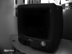 f:id:gurizou:20110516130601j:image