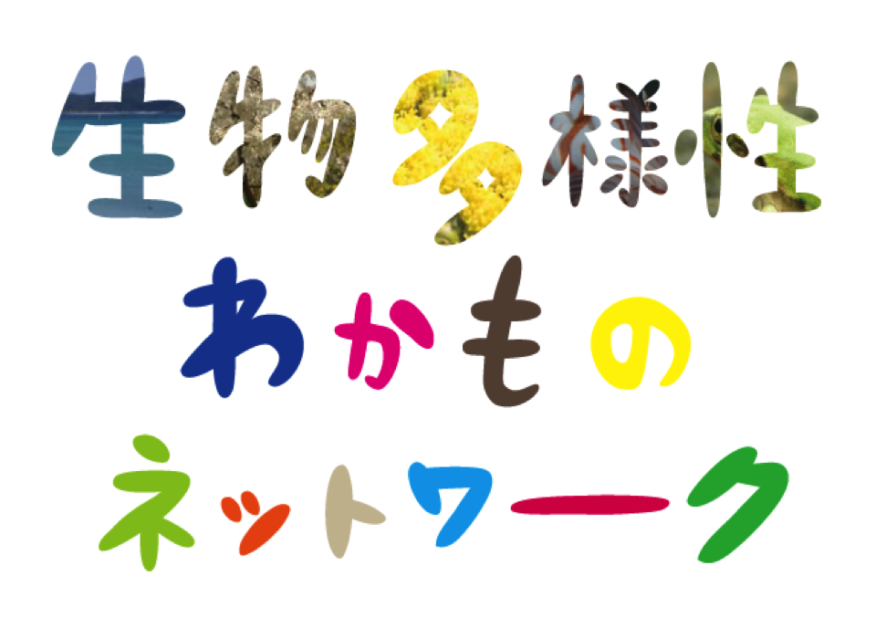 f:id:gurokaru1021:20171026235843p:plain